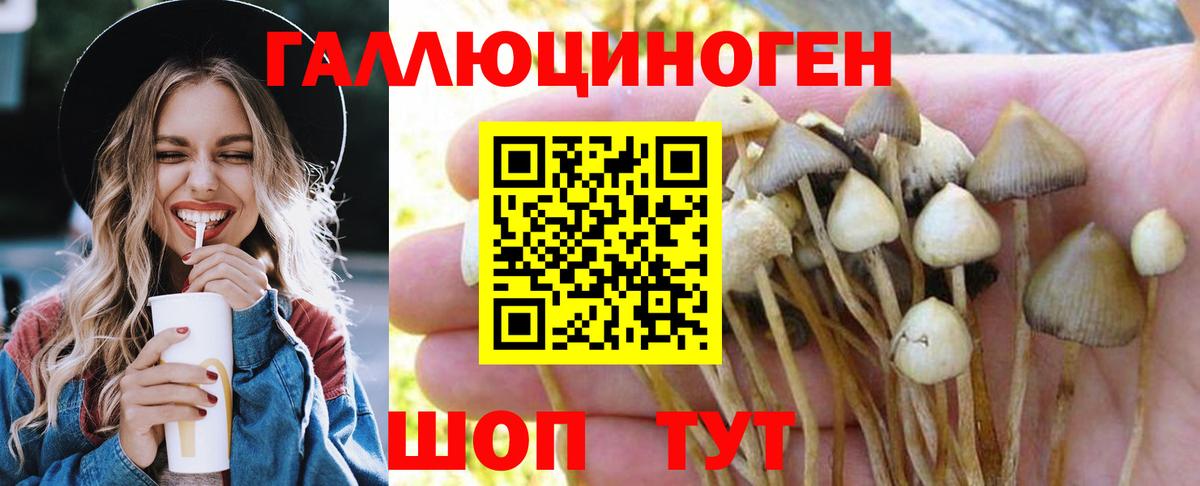 Южно-Сахалинск  Галлюциногенные грибы Psilocybine cubensis  Вход с VPN 